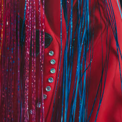 Girl Behind a Tinsel Veil - detail 2