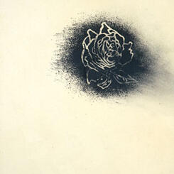 Graphite Rose