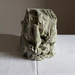 green_tolstoy1_6x10.jpg