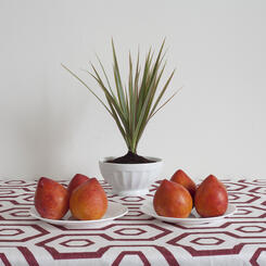 greenplant_redplums.jpg