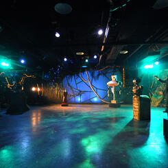 Production Photograph: Robotforest is revealed