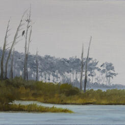 "Hoopers Island Shoreline"