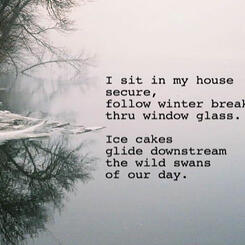 a still frame from Immortal Cupboard