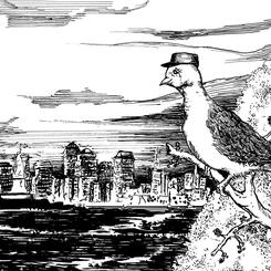 Illustration From Peter Pigeon of Snug Harbor