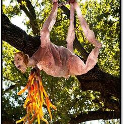 Lynched Tree (New Orleans iteration)