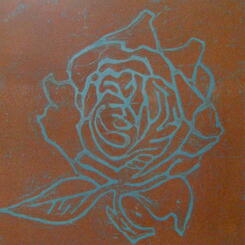 American Beauty Series