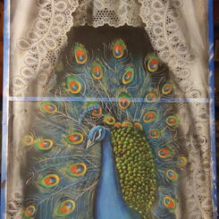 Peacock and Lace