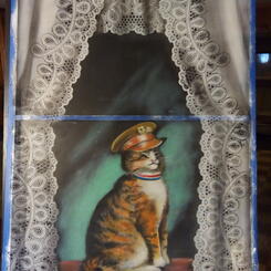 C &amp; O Railroad Cat