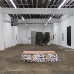Installation view #1