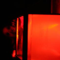 img_2553_1