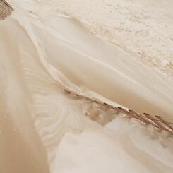 Walking on Cappuccino #2