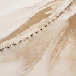 Walking on Cappuccino #3