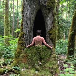 nature nurture, photography, sculpture, moss