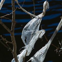 Flight of the Valkyries