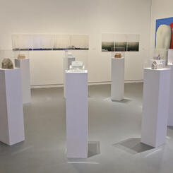 Model Homes, Installation View