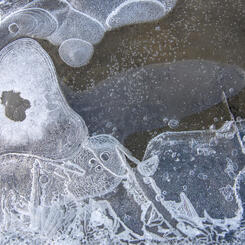 Loops and Layers, Lake Hoare