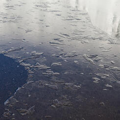 Primary Ice, Lake Hoare, Antarctica