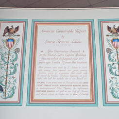 American Catastrophe Report