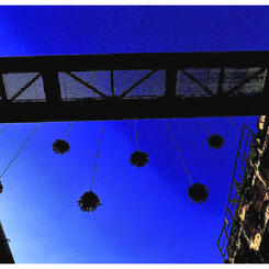hanging flowers in a steel world