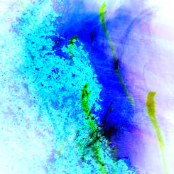 Light Painting:3.20.09