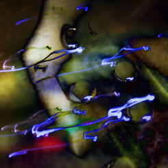 Light Painting:4.14.58