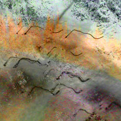 Light Painting:4.40.04