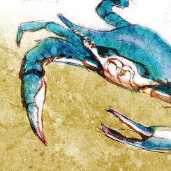 Blue Crab
