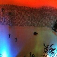 Paper fish installation