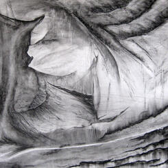 Site Sketch 3 - Architecture of a Crawfish