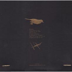 title tracks for Colors album