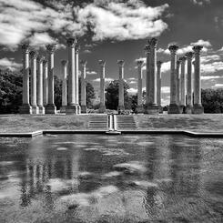 Capitol Columns