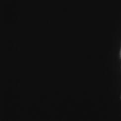 Nightwatch