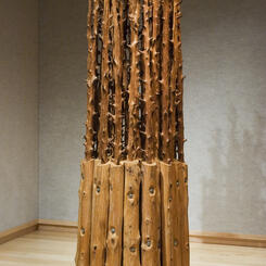 Where's Your Forest?