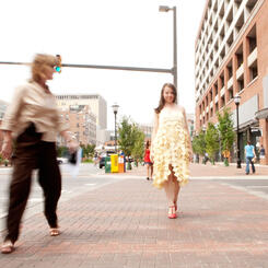 Oblivia at the Harbor 