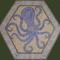  Octopus Hexigon