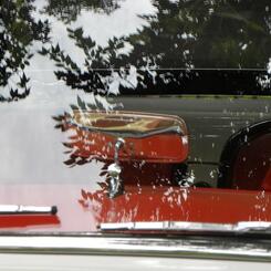 tree leaves reflected in an old car windshield