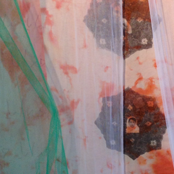 Detail: One Million Signituare Campaign