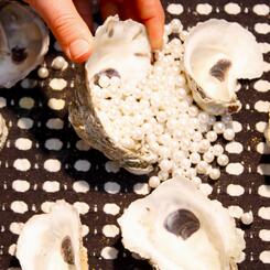 Zoe Friedman : Time is a Milk Bowl