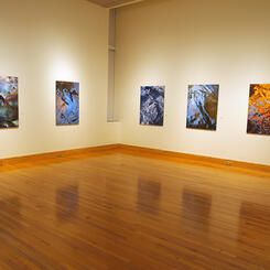 Speaking Surfaces Solo Exhibition