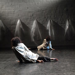 What we see why we see (2012)@Dance Place, Washington, D.C.