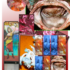 Sea Creature in Paris