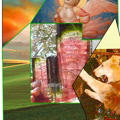 Watermelon Tourmaline