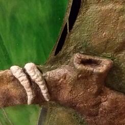 Parakeets at Sunset (detail)