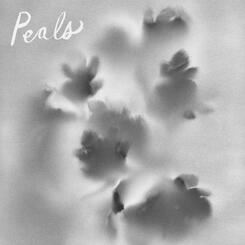 Night Train to Tucson cover art