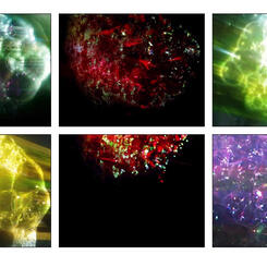 Grid View