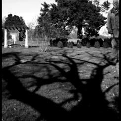 Plantation Diary, Hampton Plantation