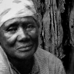 Plantation Diary, Sotterley Plantation