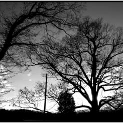 Plantation Diary, Sotterley Plantation