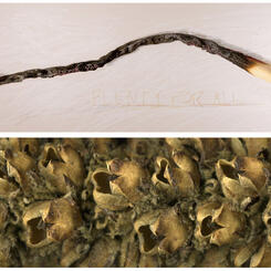 diptych: plenty for all