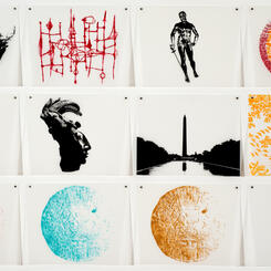 Propaganda Series, 2005-ongoing